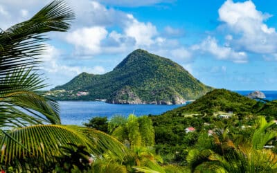 Oferta de trabajo Caribe (Isla Guadalupe)- Medico especialista Medicina del trabajo